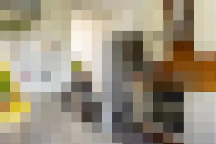 Graafdijk 49 Lopik thumbnail 6