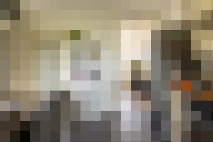 Graafdijk 49 Lopik thumbnail 7