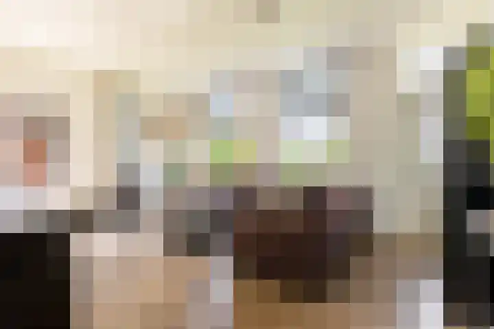 Graafdijk 49 Lopik thumbnail 8