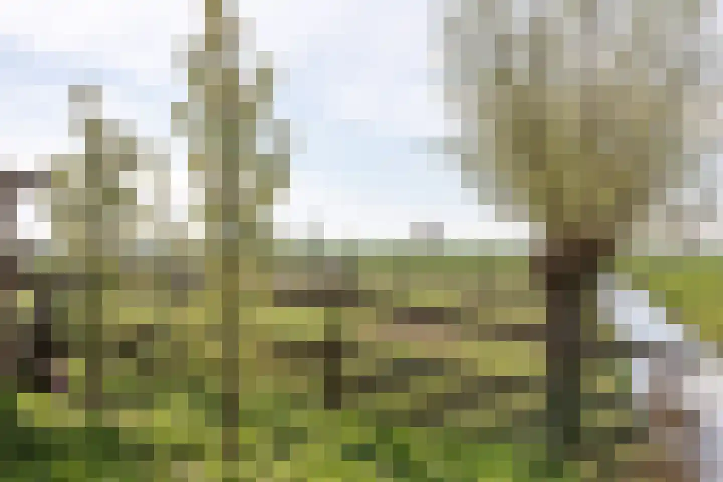 Graafdijk 76 A Lopik thumbnail 58