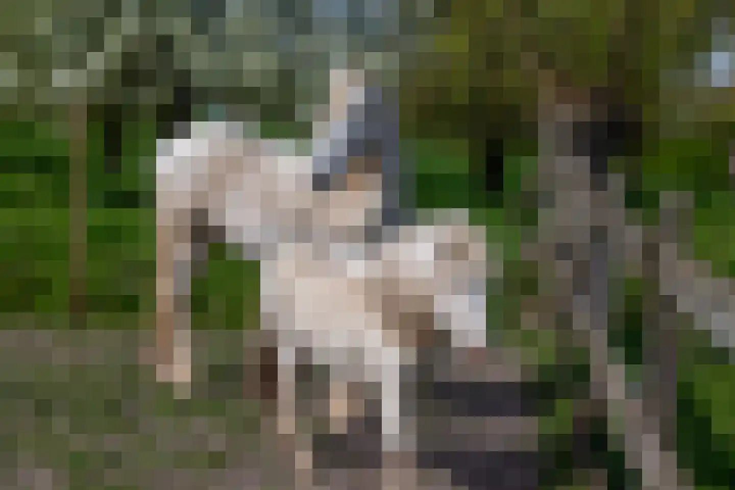 Graafdijk 76 A Lopik thumbnail 61