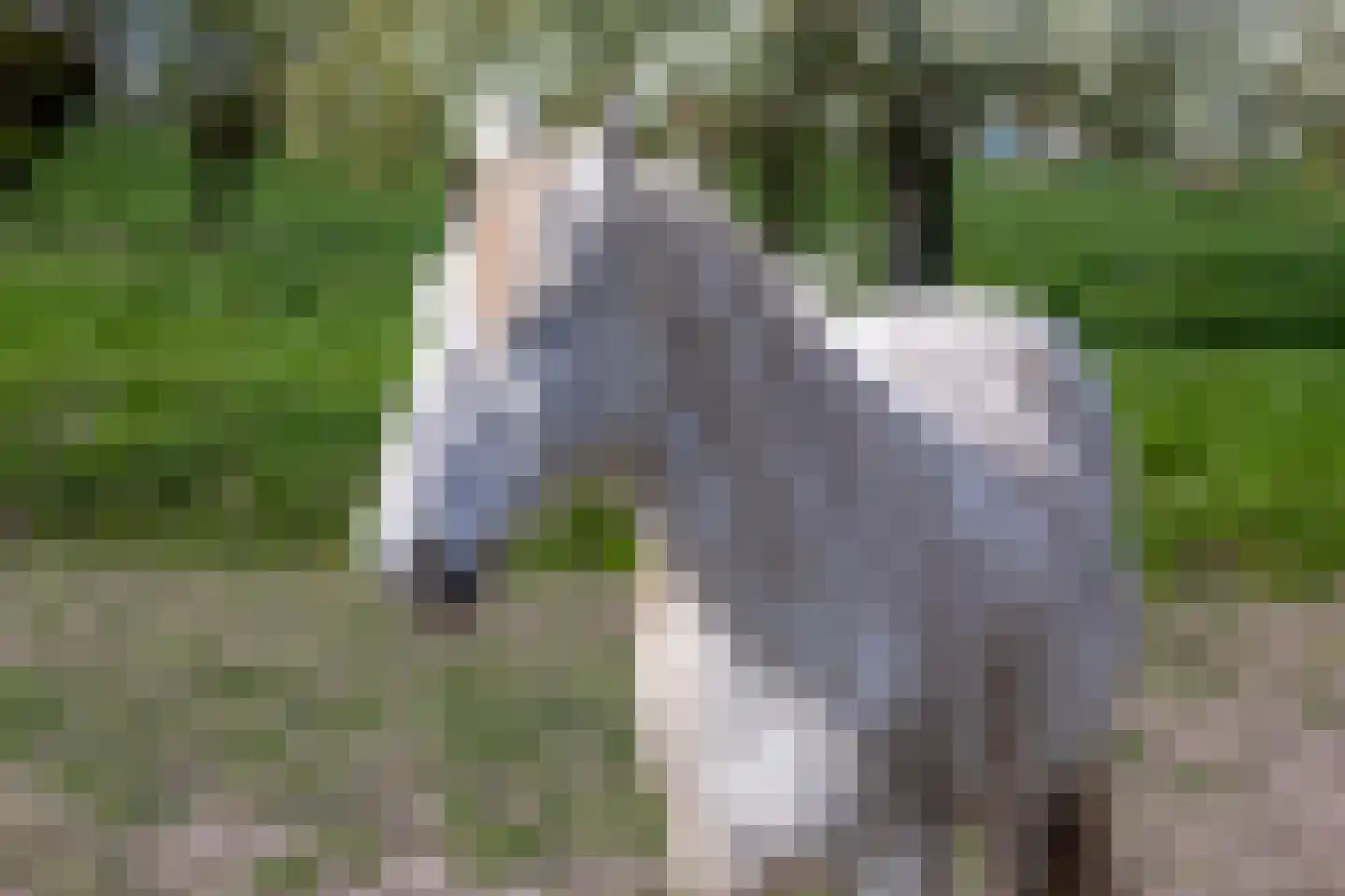 Graafdijk 76 A Lopik thumbnail 62