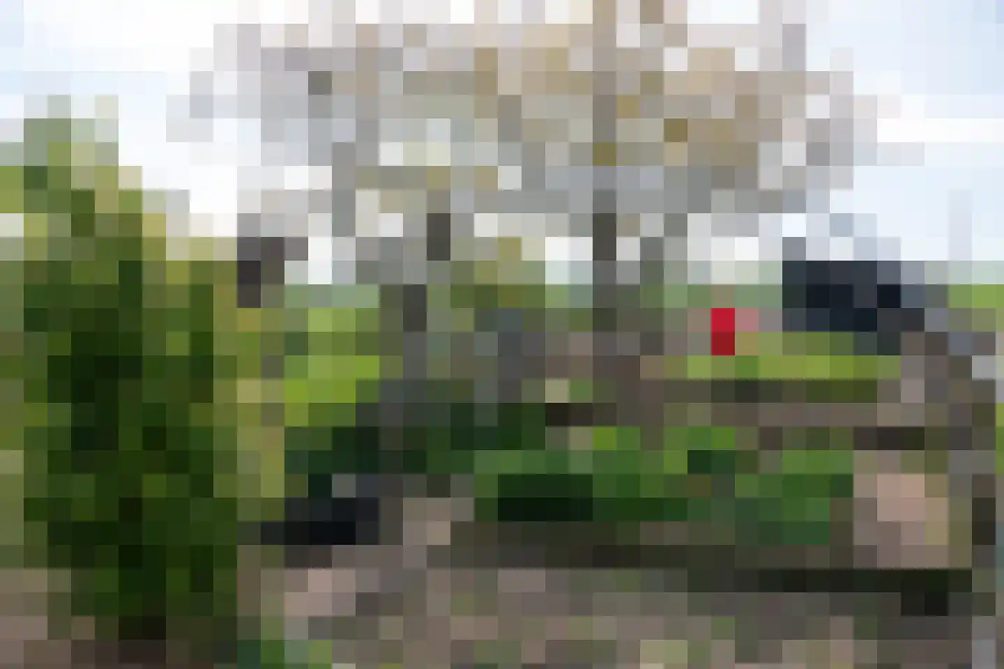 Graafdijk 76 A Lopik thumbnail 64