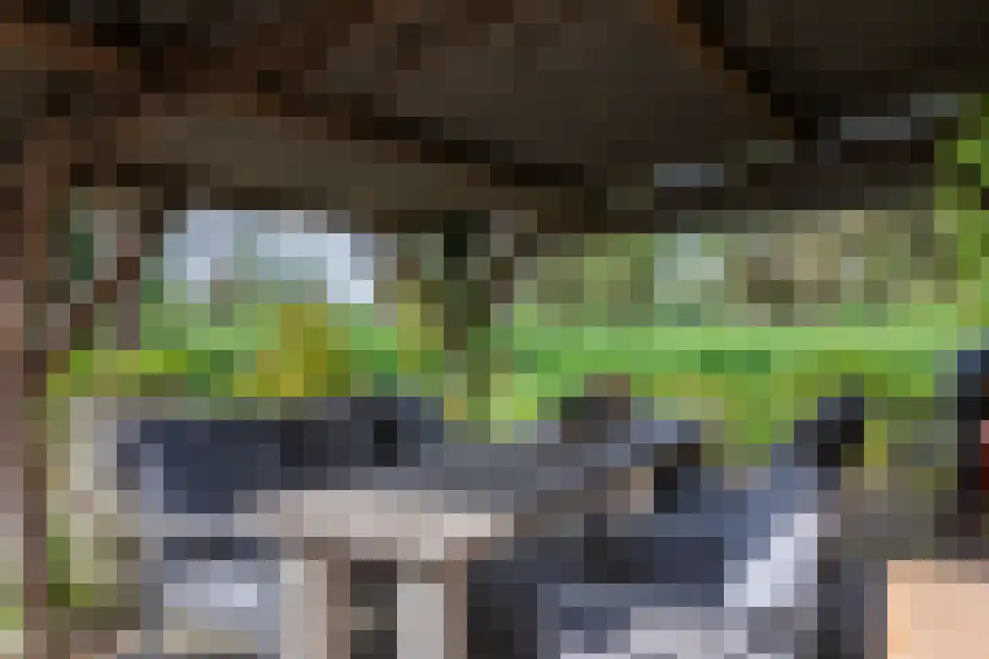 Graafdijk 76 A Lopik thumbnail 66