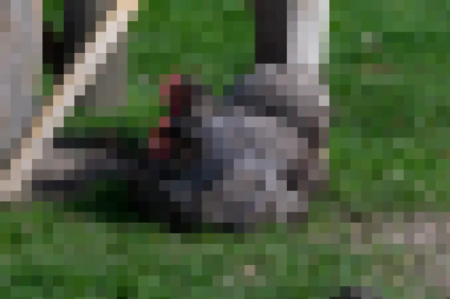 Graafdijk 76 A Lopik thumbnail 71