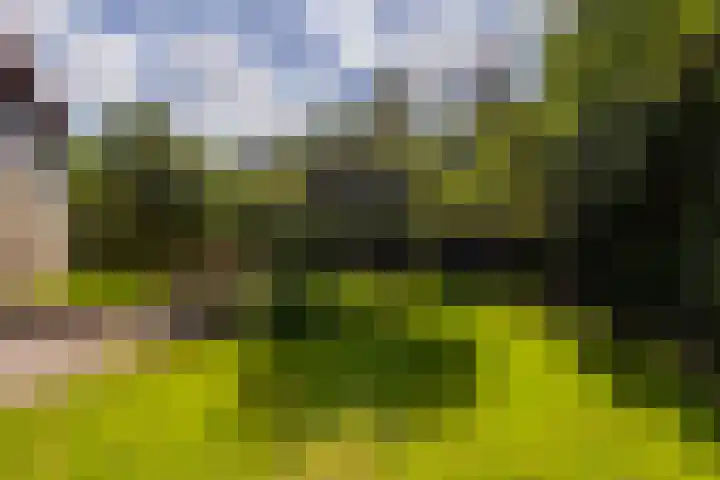 Graafdijk-oost 11 Molenaarsgraaf thumbnail 25