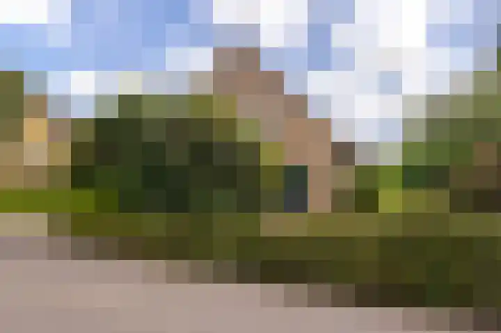 Graafdijk-oost 11 Molenaarsgraaf thumbnail 27