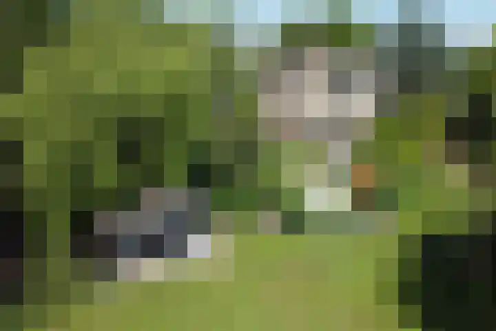 Graafdijk-oost 48 in Molenaarsgraaf