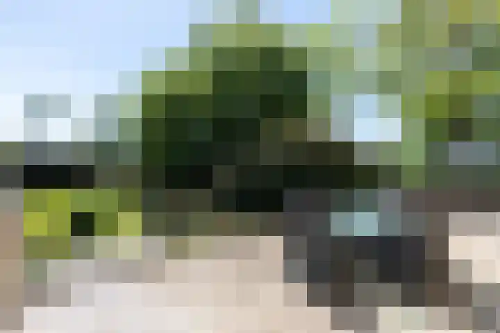 Graafdijk-oost 48 Molenaarsgraaf thumbnail 17