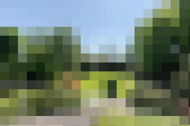 Graafdijk-oost 48 Molenaarsgraaf thumbnail 19
