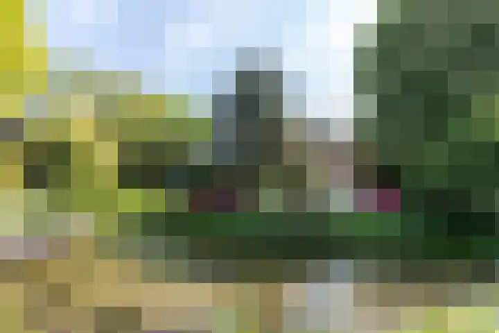 Graafdijk-oost 48 Molenaarsgraaf thumbnail 4