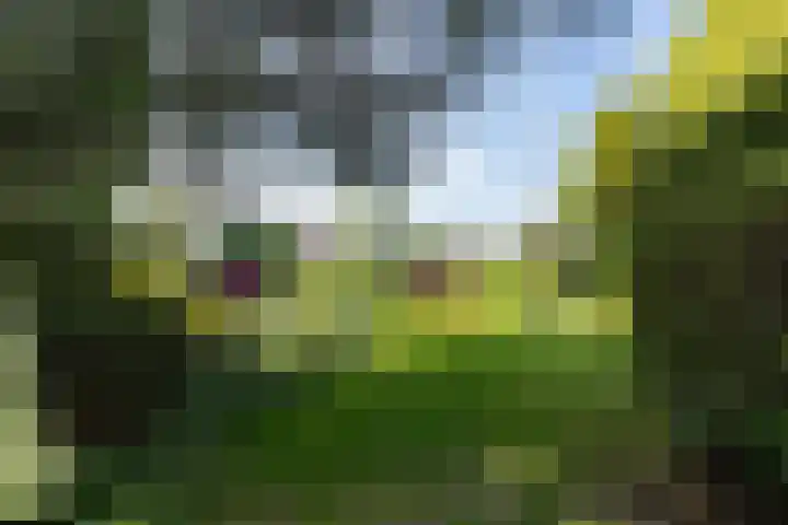 Graafdijk-oost 48 Molenaarsgraaf thumbnail 48
