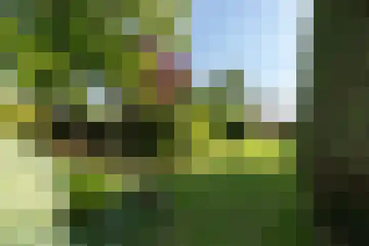 Graafdijk-oost 48 Molenaarsgraaf thumbnail 50
