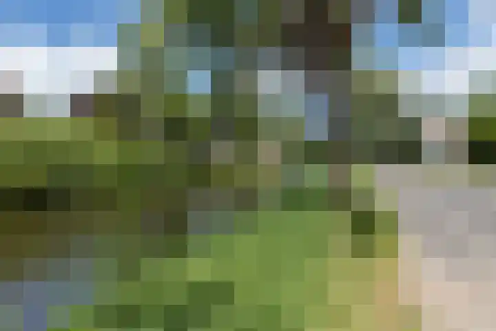 Graafdijk-oost 53 Molenaarsgraaf thumbnail 21