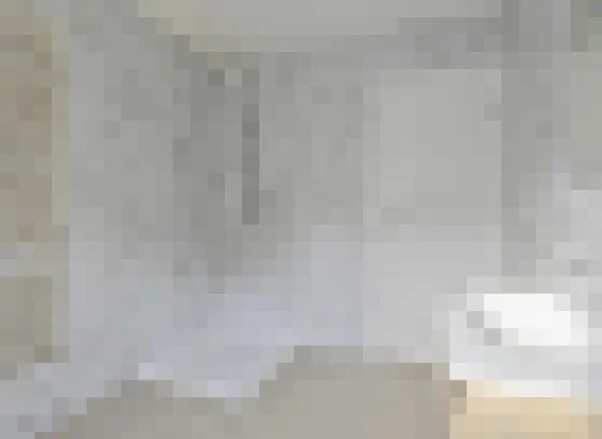 Graafjansdijk A 183 Westdorpe foto 3