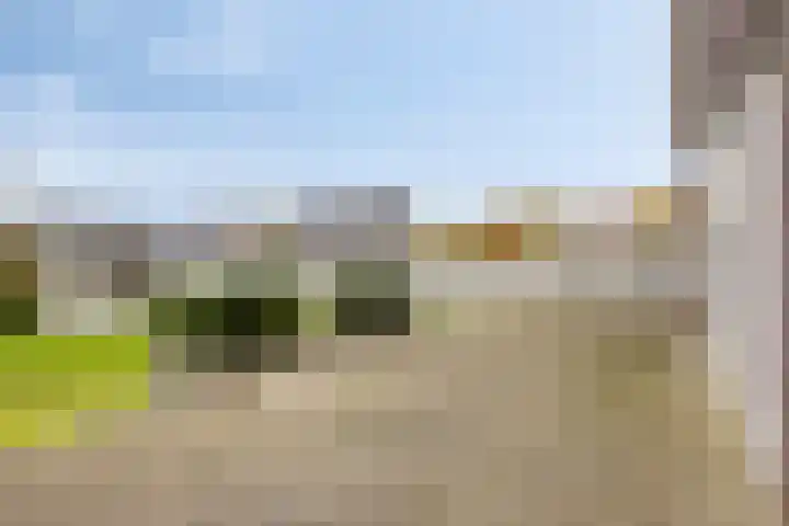 Graafjansdijk A 25 b Westdorpe thumbnail 27