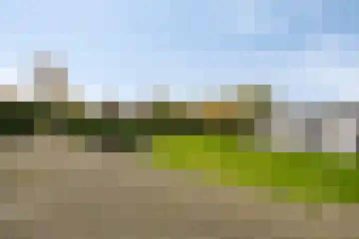 Graafjansdijk A 25 b Westdorpe thumbnail 28