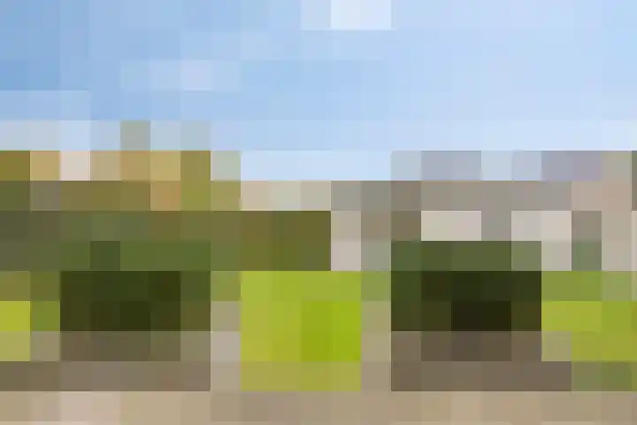 Graafjansdijk A 25 b Westdorpe thumbnail 29