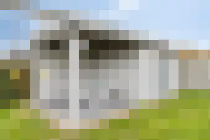Graafjansdijk A 25 b Westdorpe thumbnail 30