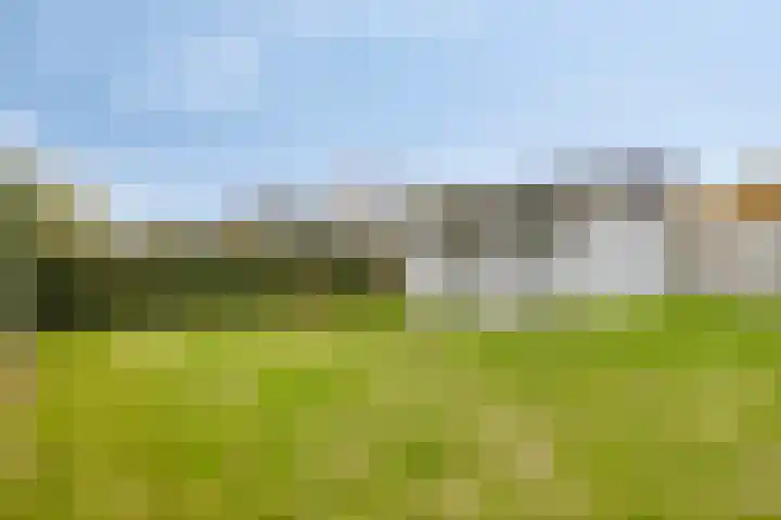 Graafjansdijk A 25 b Westdorpe thumbnail 31