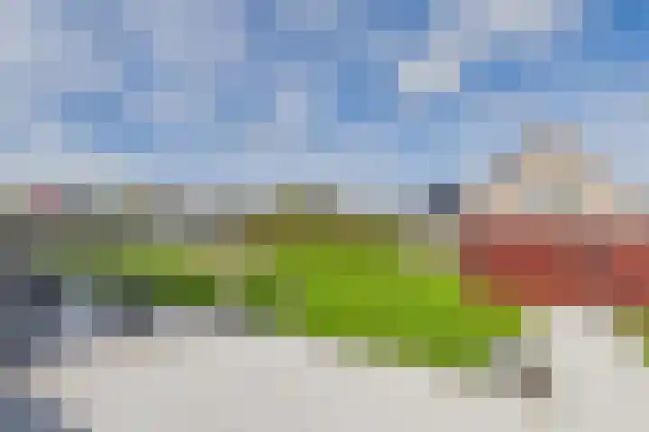 Graafjansdijk A 25 c Westdorpe thumbnail 23