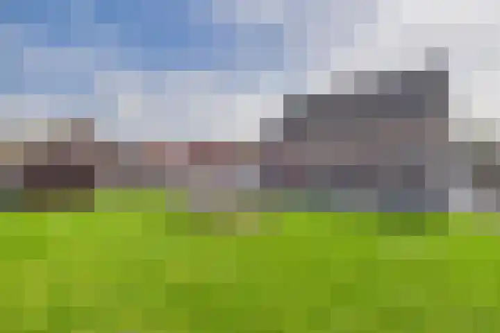 Graafjansdijk A 25 c Westdorpe thumbnail 25