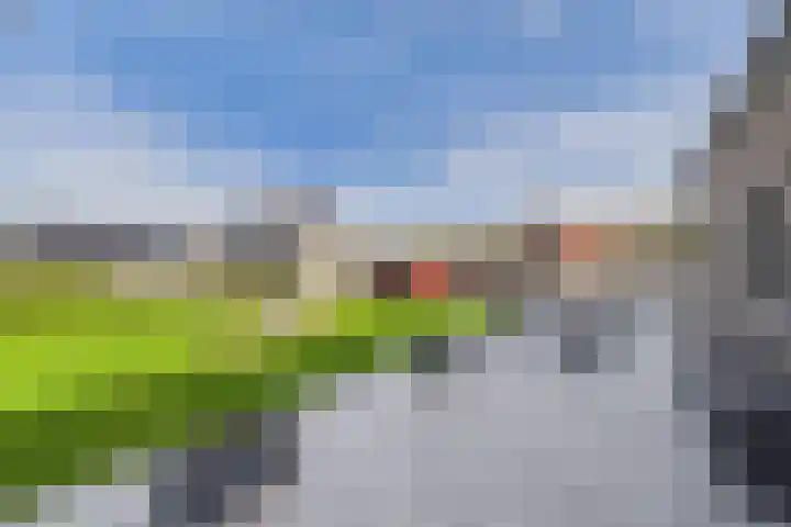 Graafjansdijk A 25 c Westdorpe thumbnail 4