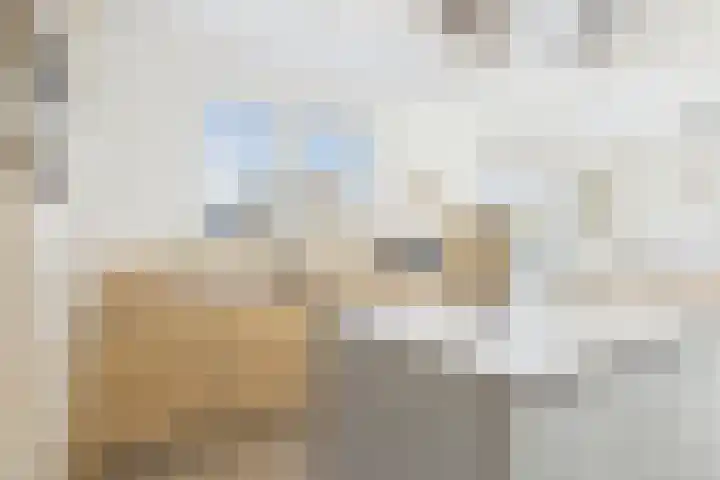 Graafjansdijk A 25 c Westdorpe thumbnail 9
