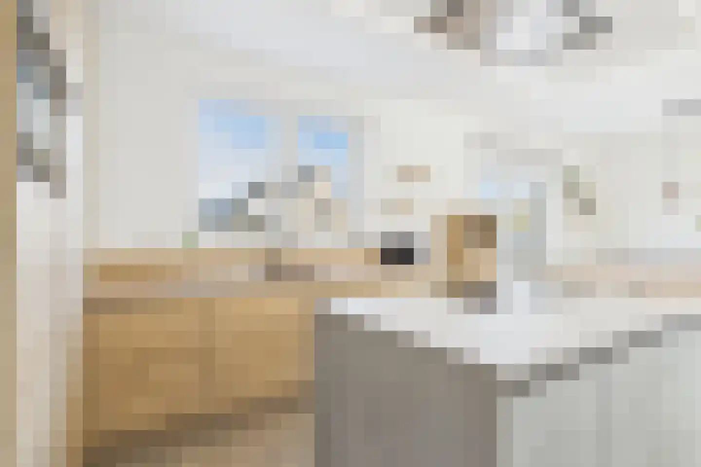 Graafjansdijk A 25 c Westdorpe thumbnail 9