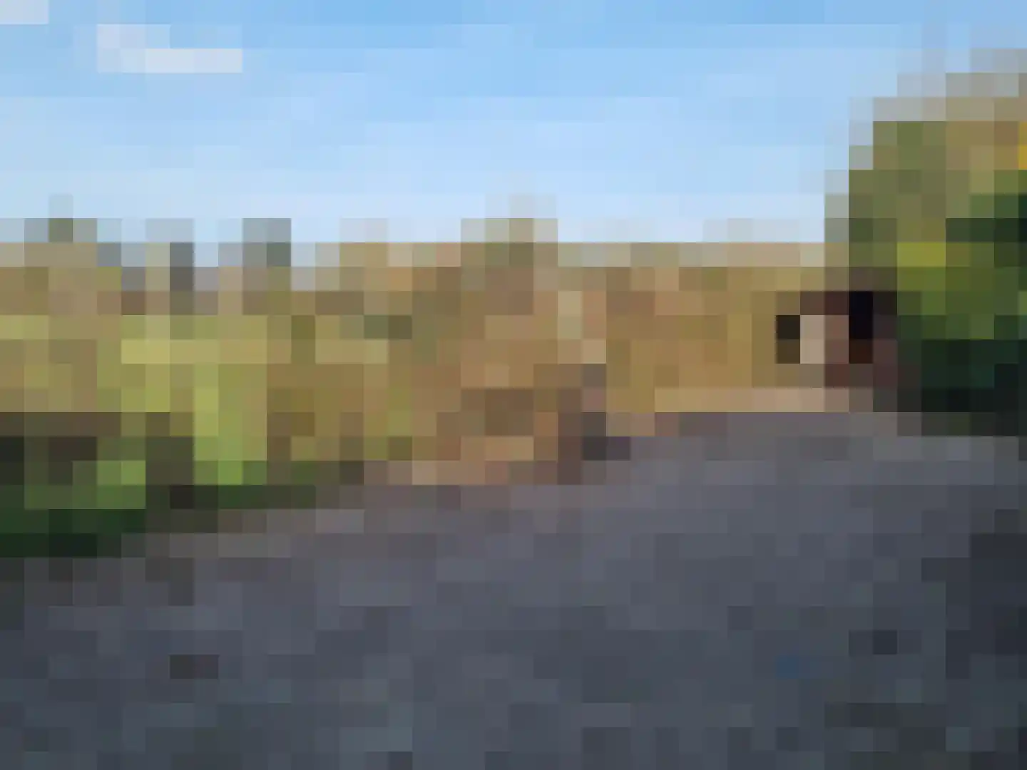 Graafjansdijk A 71 Westdorpe thumbnail 4