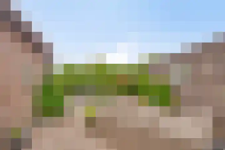 Graafjansdijk A 87 Westdorpe thumbnail 34