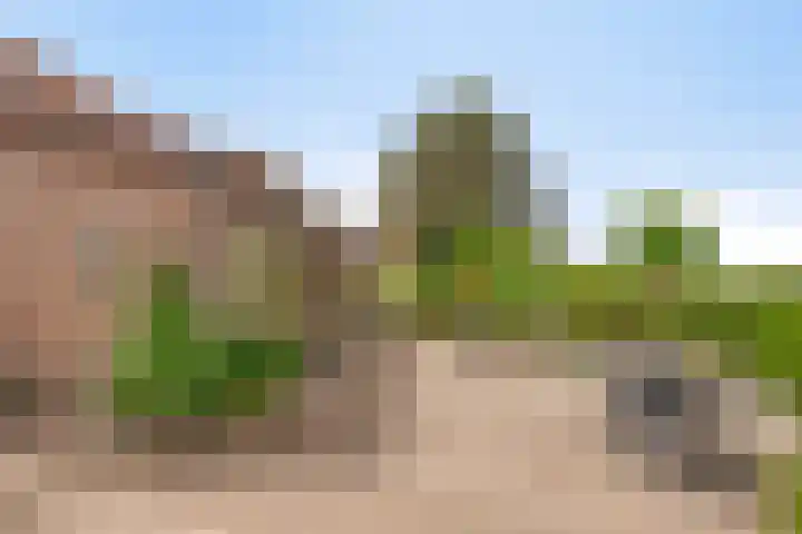 Graafjansdijk A 87 Westdorpe thumbnail 36