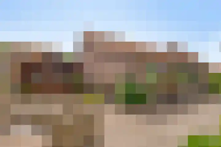 Graafjansdijk A 87 Westdorpe thumbnail 41