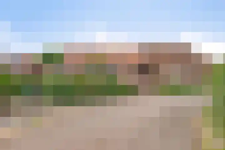 Graafjansdijk A 87 Westdorpe thumbnail 6