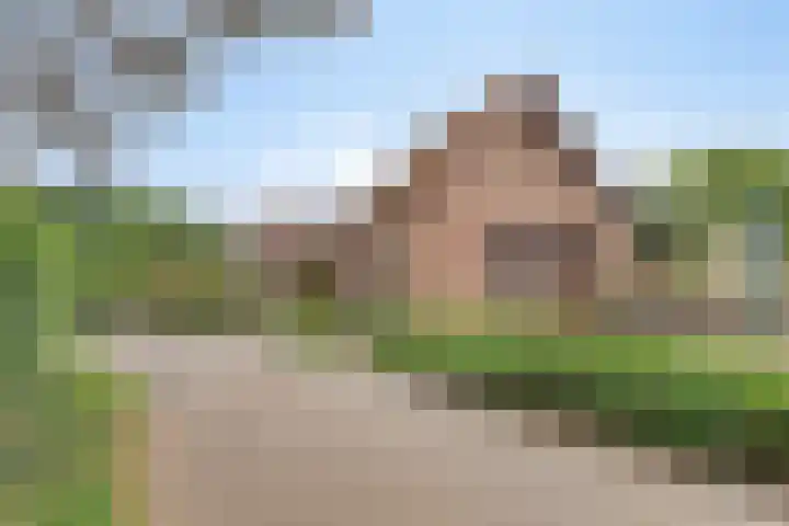 Graafjansdijk A 87 Westdorpe thumbnail 8
