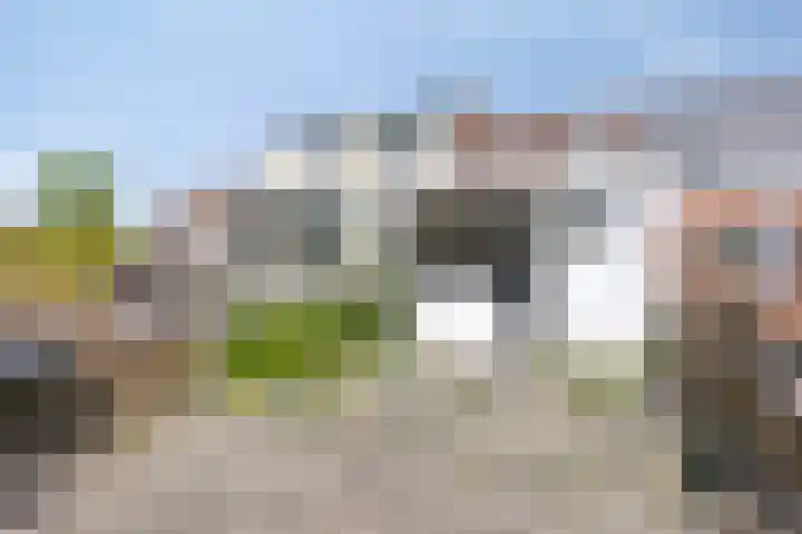 Graafjansdijk A 93 Westdorpe thumbnail 11