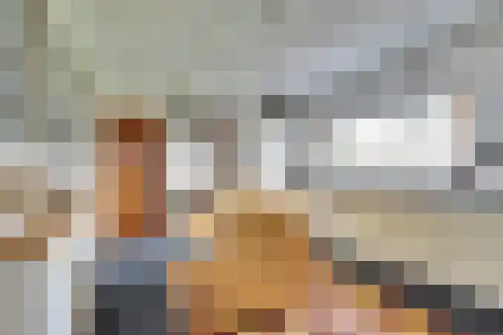 Graafjansdijk B 10 Westdorpe thumbnail 17