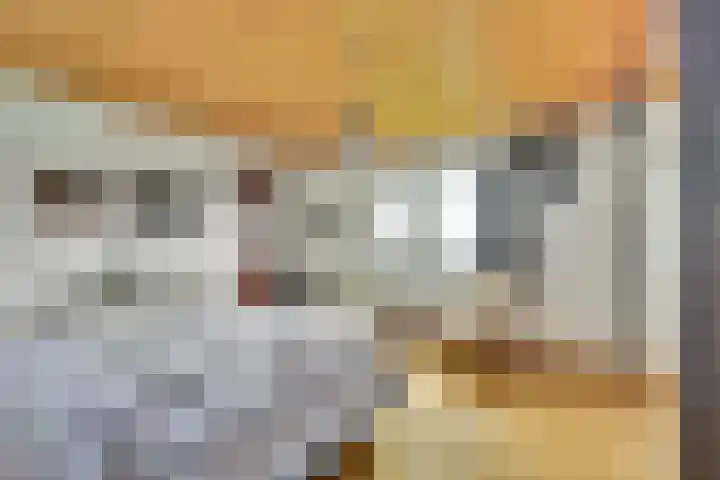 Graafjansdijk B 10 Westdorpe thumbnail 29
