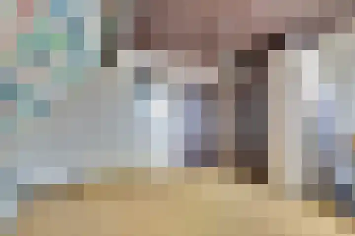 Graafjansdijk B 10 Westdorpe thumbnail 39