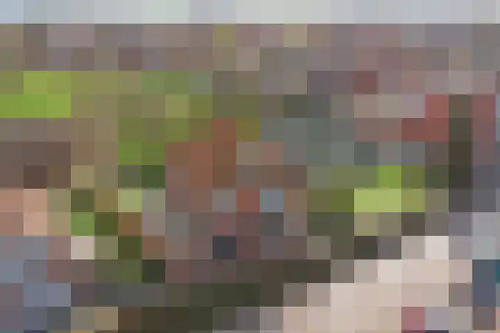 Graafjansdijk B 10 Westdorpe thumbnail 4