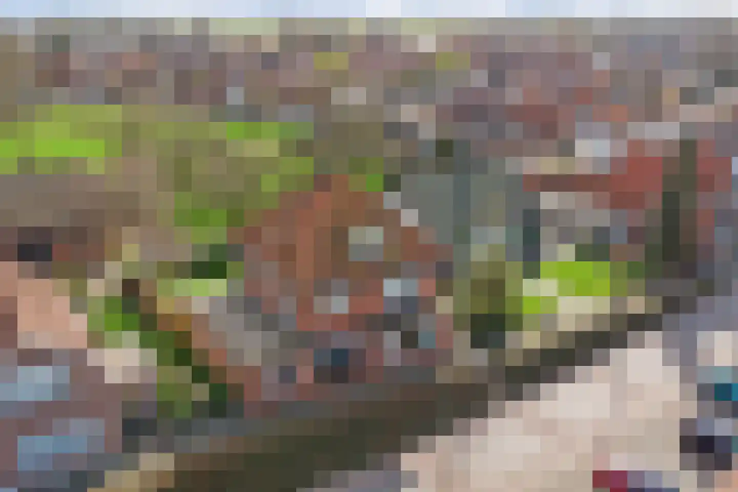 Graafjansdijk B 10 Westdorpe thumbnail 4