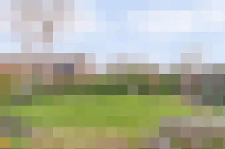 Graafjansdijk B 10 Westdorpe thumbnail 45
