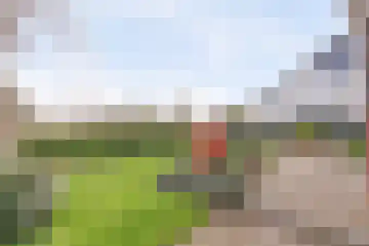 Graafjansdijk B 10 Westdorpe thumbnail 46
