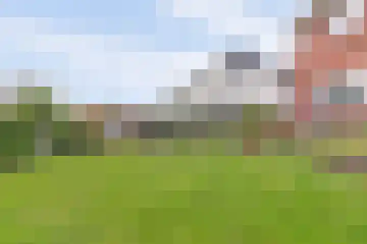 Graafjansdijk B 10 Westdorpe thumbnail 48