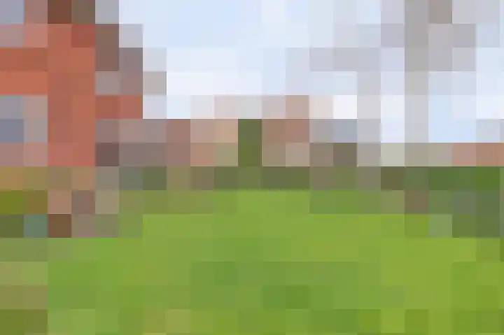Graafjansdijk B 10 Westdorpe thumbnail 49