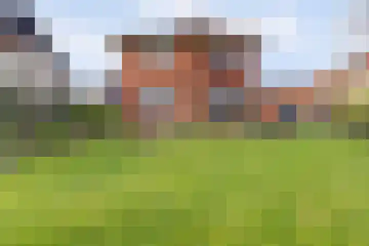 Graafjansdijk B 10 Westdorpe thumbnail 50