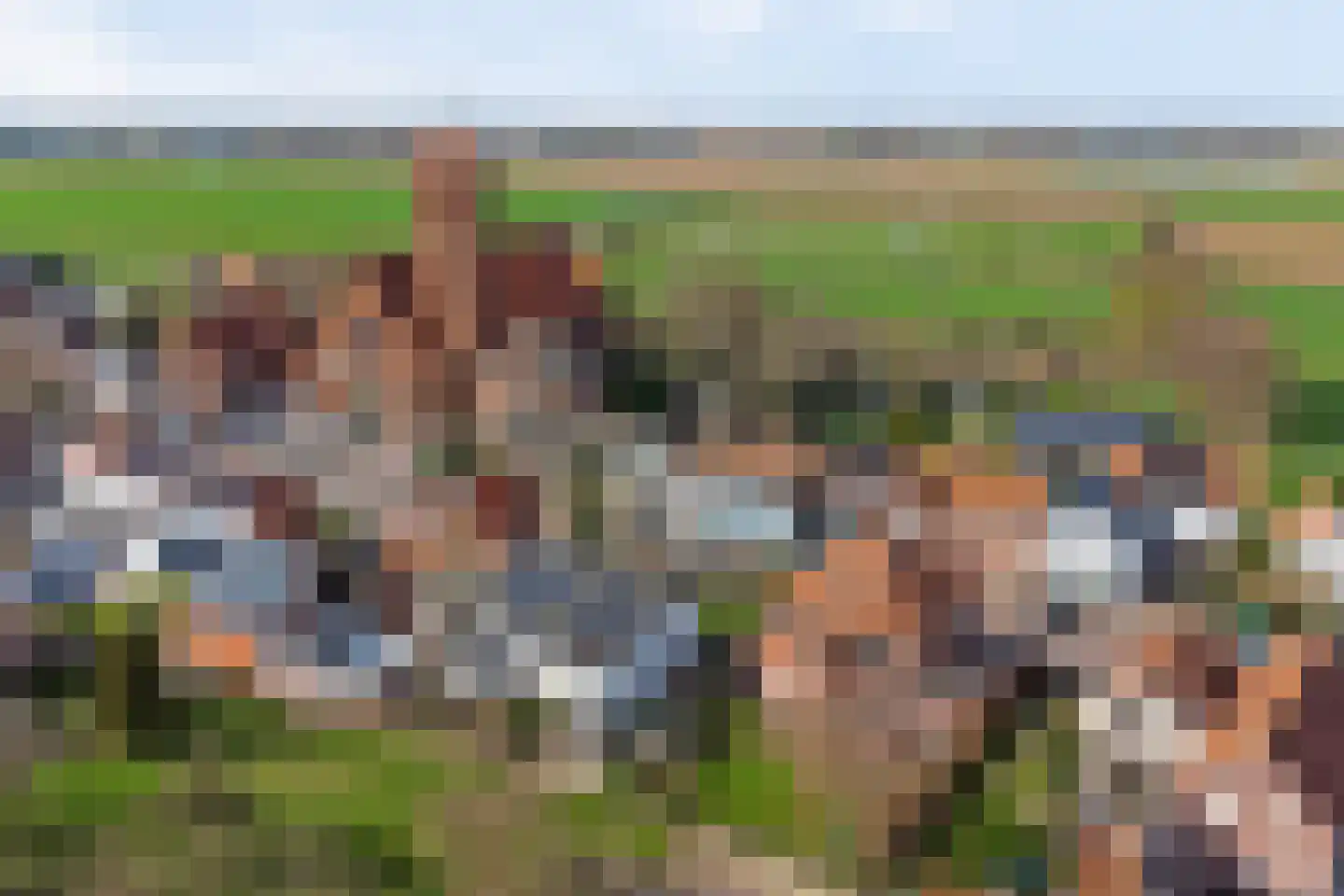 Graafjansdijk B 10 Westdorpe thumbnail 52