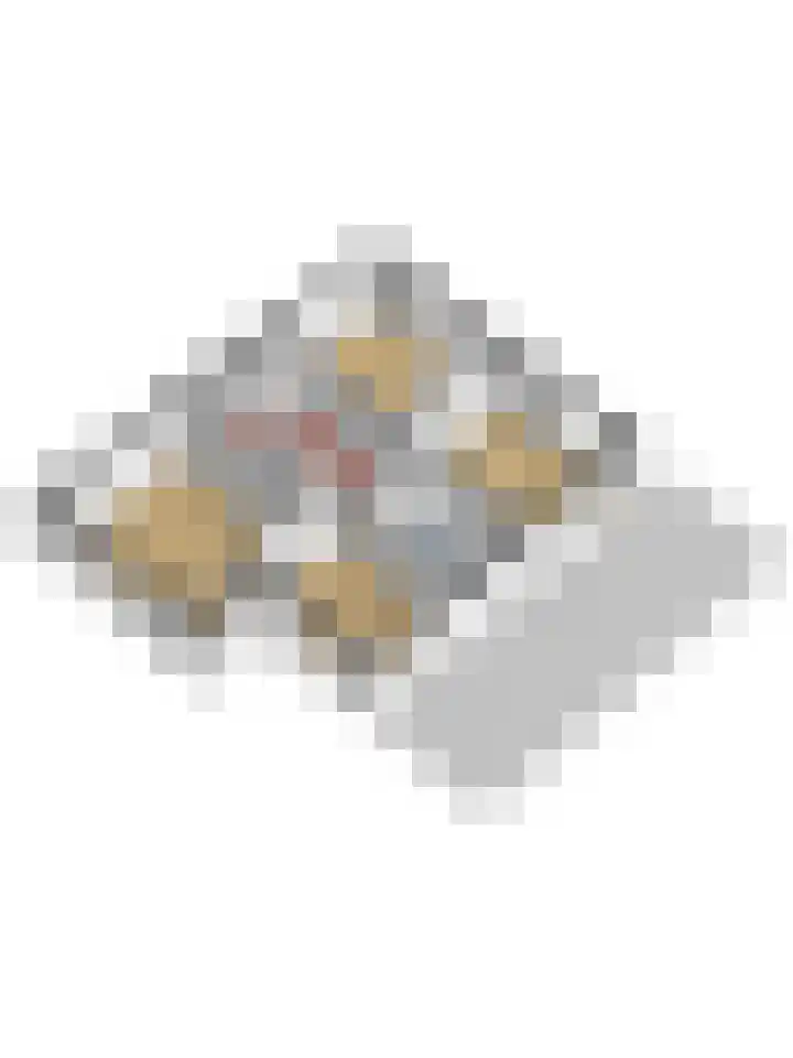 Graafjansdijk B 10 Westdorpe thumbnail 60