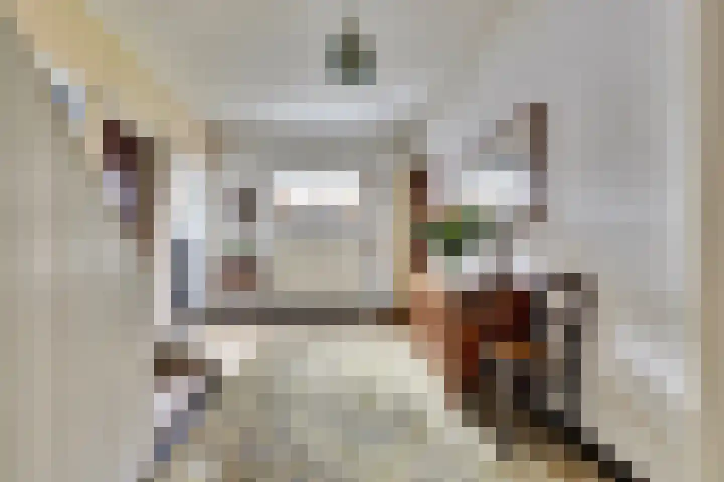 Graafjansdijk B 10 Westdorpe thumbnail 8