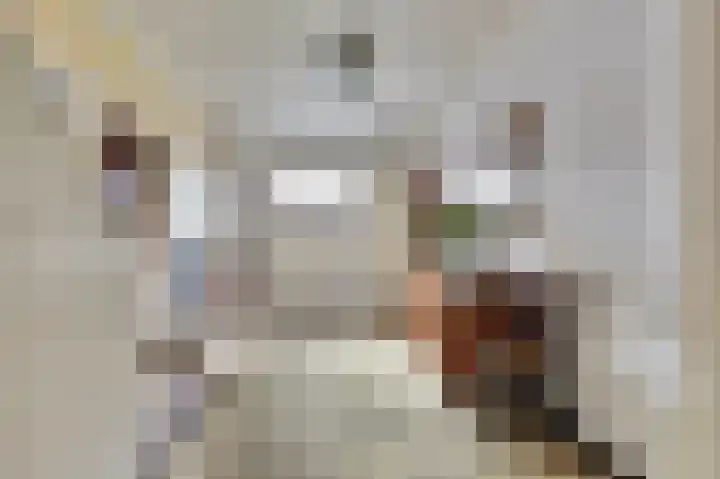 Graafjansdijk B 10 Westdorpe thumbnail 8